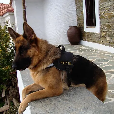 Kochili Stavros (Andros)